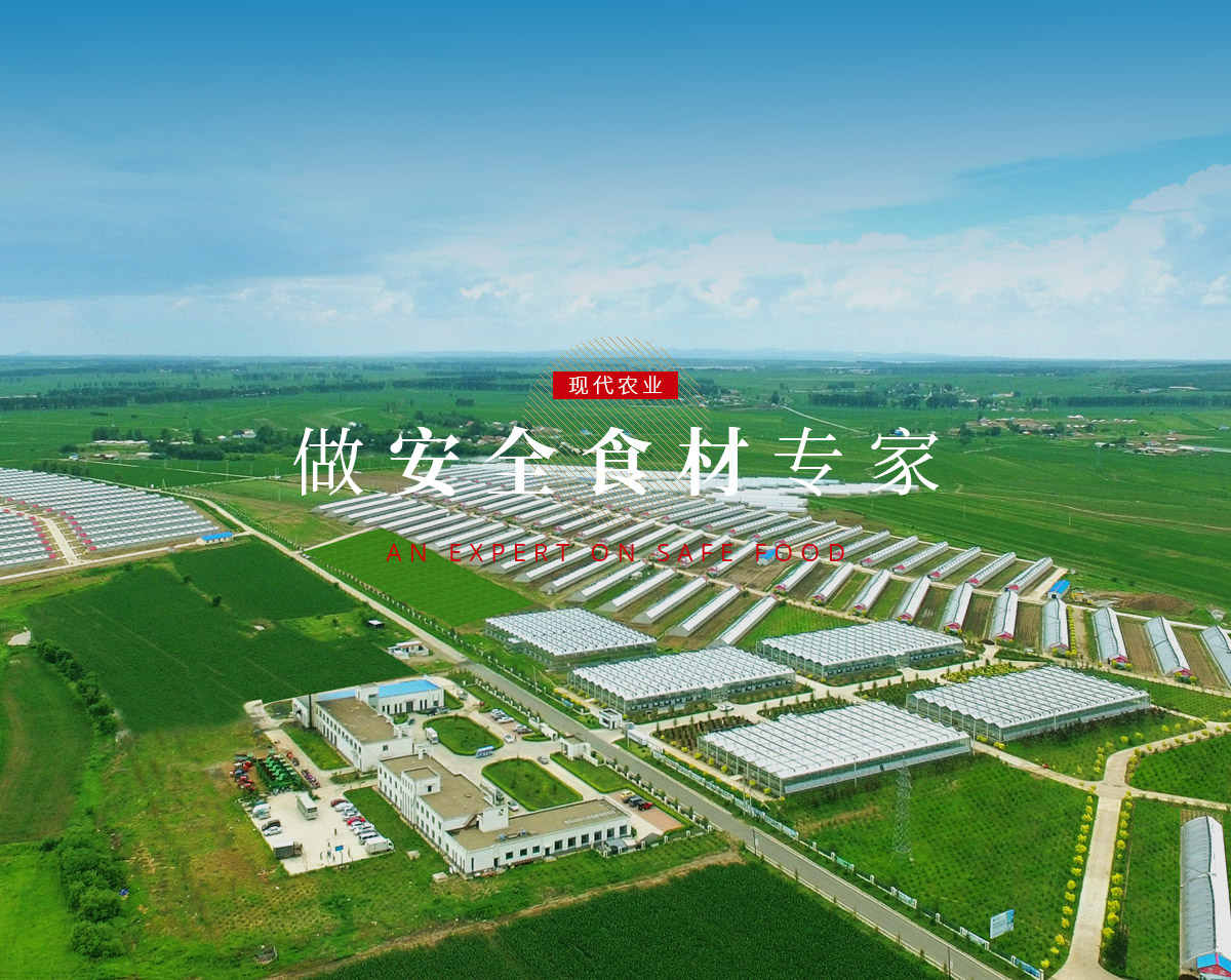 888电子(中国游)有限公司官网