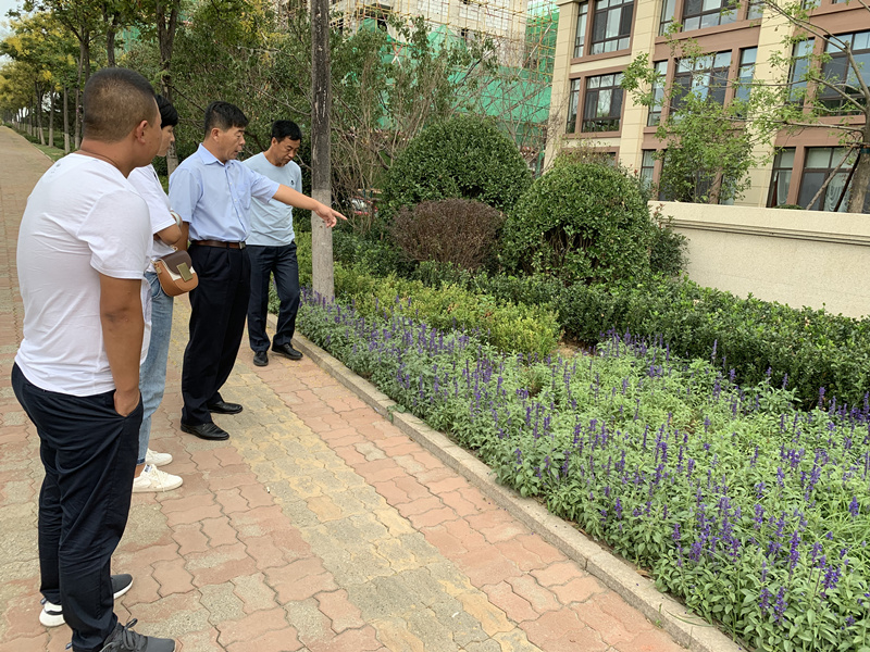 20.园林公司赴威？疾煲计纺仙较钅.jpg