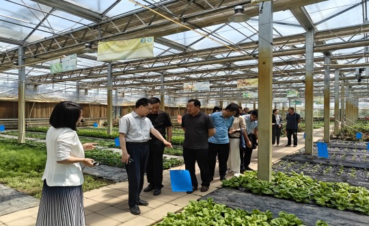 2024年6月27日，中国绿色食品发展中心相关领导莅临农业总公司考察调研_副本.jpg